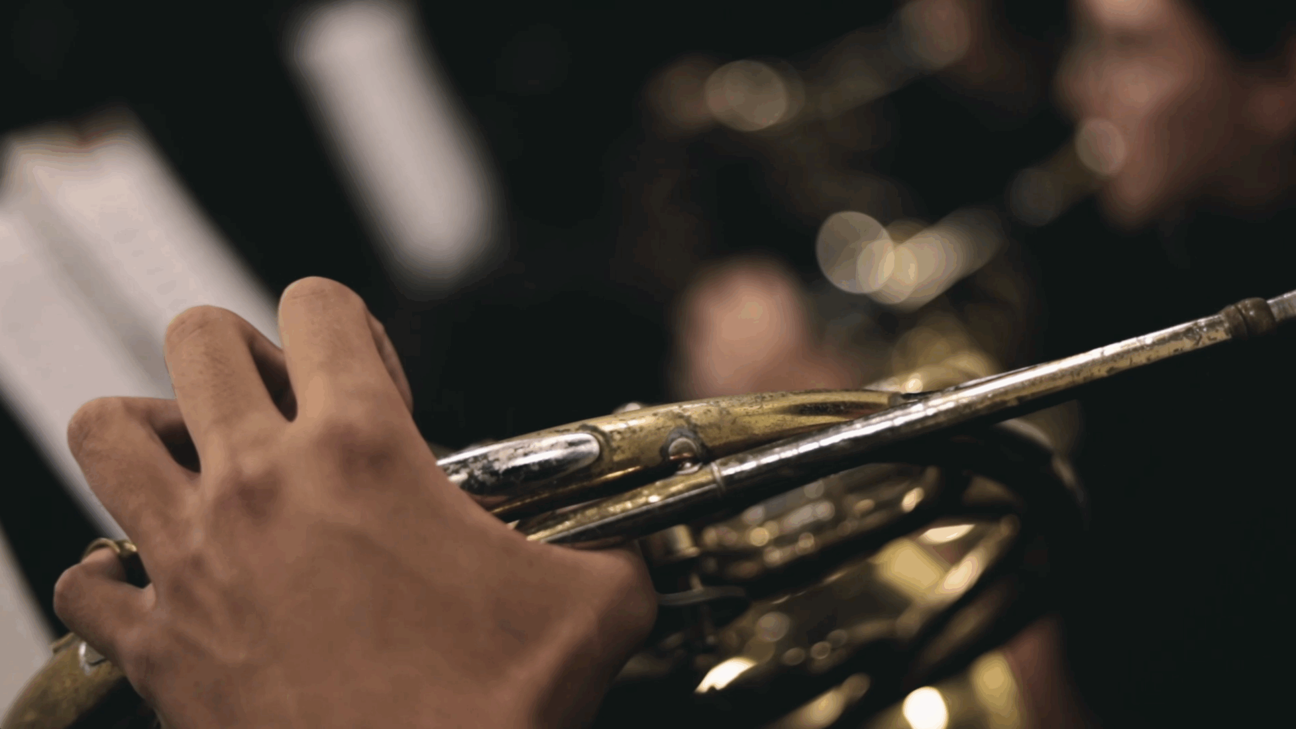 Screenshot 2024-12-31 at 1.14.08 PM